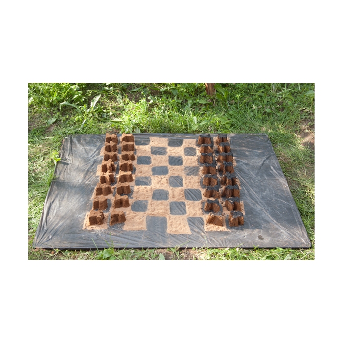 Ольга Бутеноп. "Blindfold chess", 2014