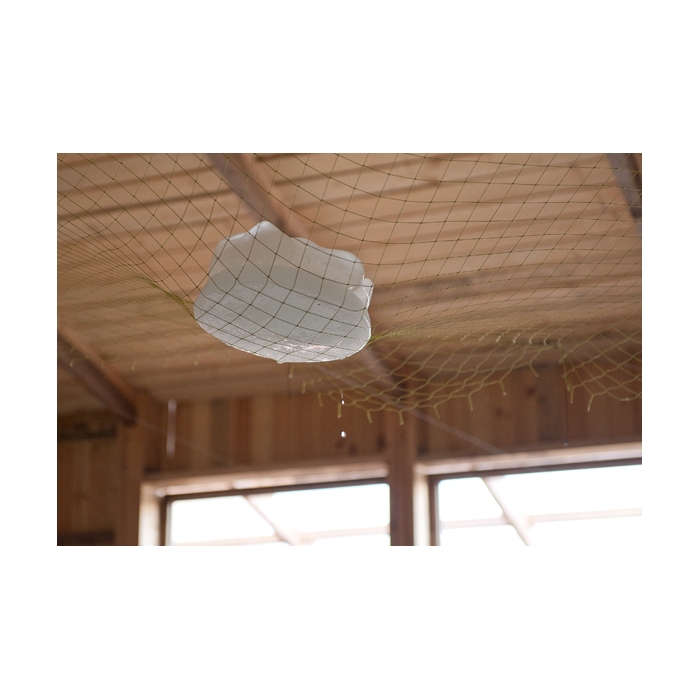 Лиза Морозова. "Ускользающее и ускользаемое"