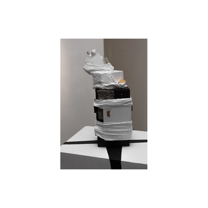 Лета Добровольская «Кубическая диффузия». Объекты, 2014