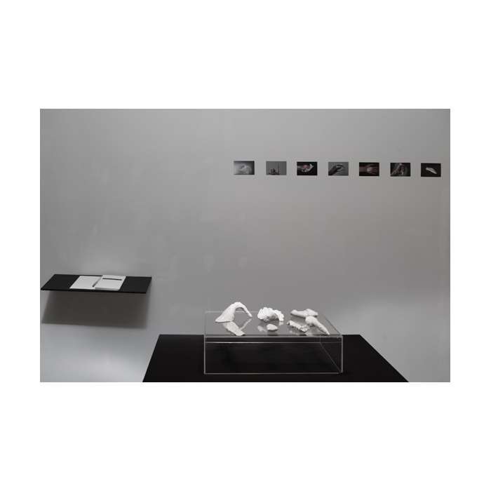 Катя Гаркушко «Old Dreams Waiting To Be Realized». Объекты, фото, 2014.