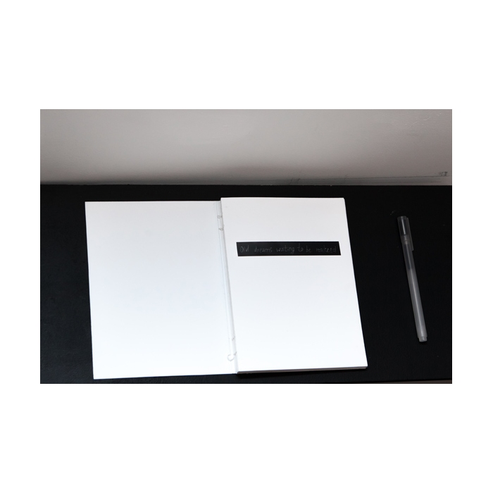 Катя Гаркушко «Old Dreams Waiting To Be Realized». Объекты, фото, 2014.