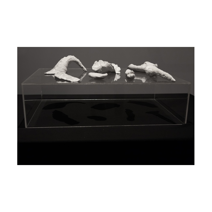 Катя Гаркушко «Old Dreams Waiting To Be Realized». Объекты, фото, 2014.