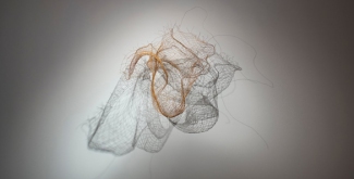 работа Сергея Огурцова