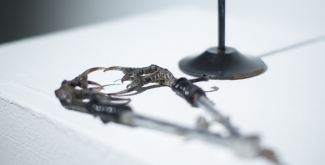 "Броши страха. 2014. Объекты, часть экспозиции "Доказательство". 13 штук. Вороньи лапки, металл"