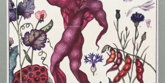 Людмила Баронина Phaseolus vulgaris. Из серии Вести из ниоткуда