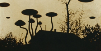 Ринат Волигамси. Галерея 11.12.