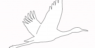 Российское движение школьников, акция "Окна победы", АртУзел, акции к 9 мая